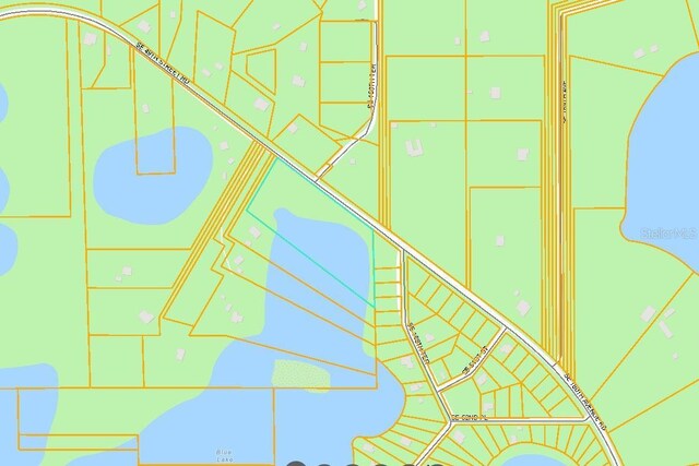 SE 49th Street Rd, Ocklawaha, FL 32183 - photo 7