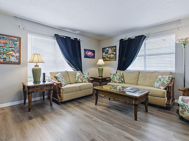 1722 Moreno Pl, The Villages, FL 32159 - living area featuring wood finished floors and baseboards