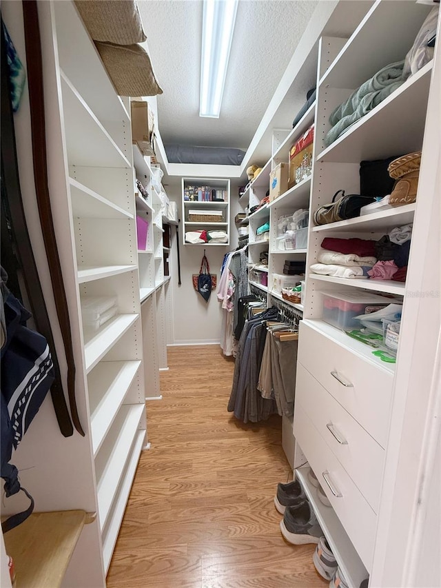 spacious closet featuring light wood-style flooring