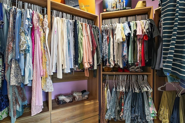 1155 Dora Parc Ln, Mount Dora, FL 32757 - view of walk in closet