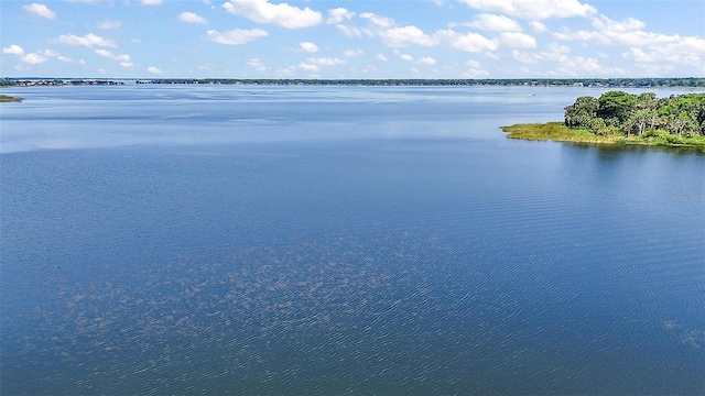 1155 Dora Parc Ln, Mount Dora, FL 32757 - water view