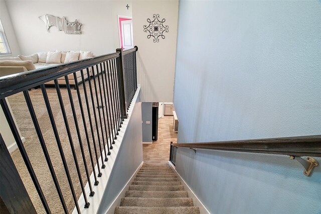 1155 Dora Parc Ln, Mount Dora, FL 32757 - staircase featuring carpet