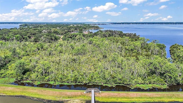 1155 Dora Parc Ln, Mount Dora, FL 32757 - aerial view of a nearby body of water