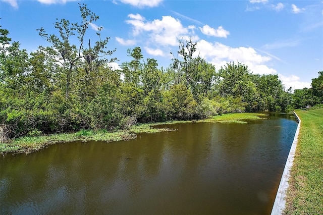 1155 Dora Parc Ln, Mount Dora, FL 32757 - water view