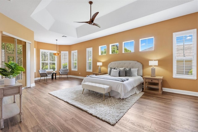 1123 Barnacle Ter, The Villages, FL 32162 - bedroom with light wood-style floors, multiple windows, and baseboards