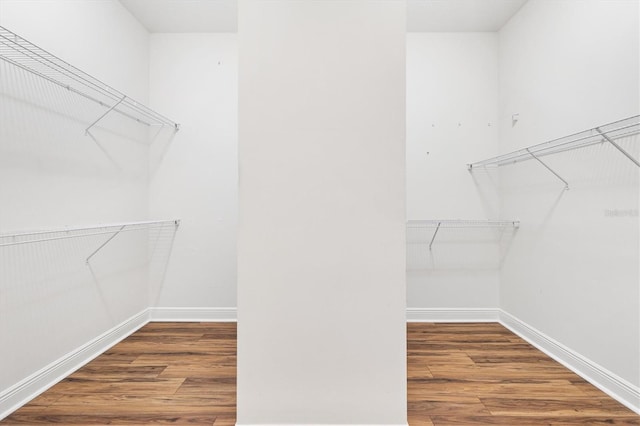1123 Barnacle Ter, The Villages, FL 32162 - spacious closet featuring wood finished floors