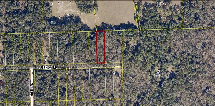 TBD 282nd Terrace, Branford, FL 32008 - photo 2