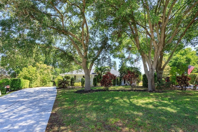 11442 Beggs Ct, Clermont, FL 34711 - view of front of property featuring a front lawn and driveway