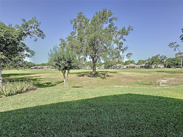 view of green lawn