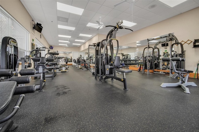workout area featuring a ceiling fan and a drop ceiling