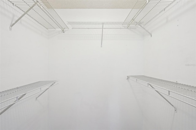 11214 SW 77th Ct, Ocala, FL 34476 - view of walk in closet