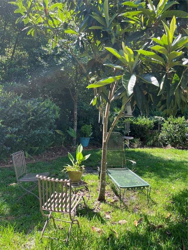 66 Elmwood Trl, Deland, FL 32724 - view of yard