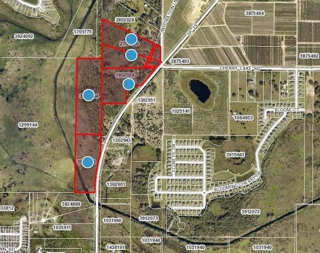 State Road 19, Groveland, FL 34736 - photo 4