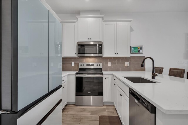 2552 Chickasaw Plum Loop, Clermont, FL 34711 - kitchen featuring appliances with stainless steel finishes, a sink, a peninsula, and white cabinets