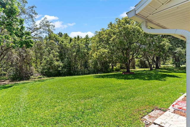 26608 Racquet Cir, Leesburg, FL 34748 - view of green lawn