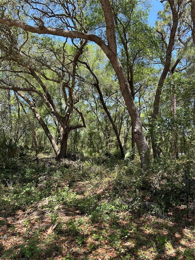SE 11th St, Silver Springs, FL 34488 - photo 1