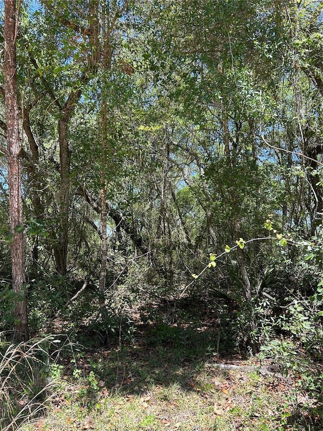 SE 11th St, Silver Springs, FL 34488 - photo 2