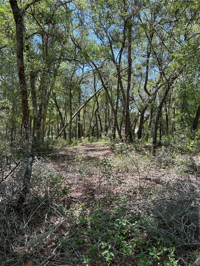SE 11th St, Silver Springs, FL 34488 - photo 5