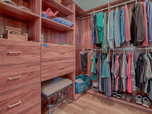3136 Vandenberg Ct, The Villages, FL 32163 - spacious closet with wood finished floors