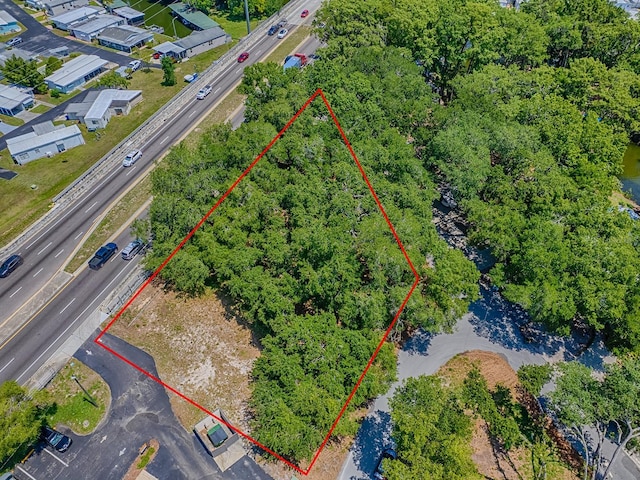 Lion Ln, Tavares, FL 32778