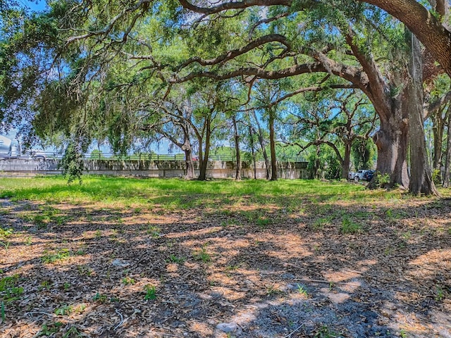 Lion Ln, Tavares, FL 32778