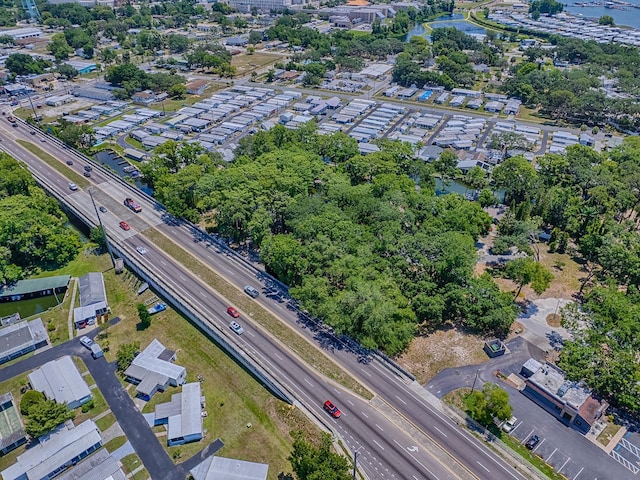 Lion Ln, Tavares, FL 32778