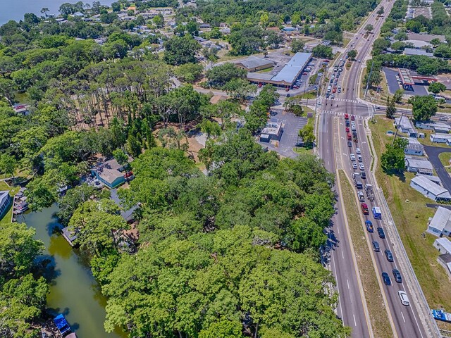 Lion Ln, Tavares, FL 32778