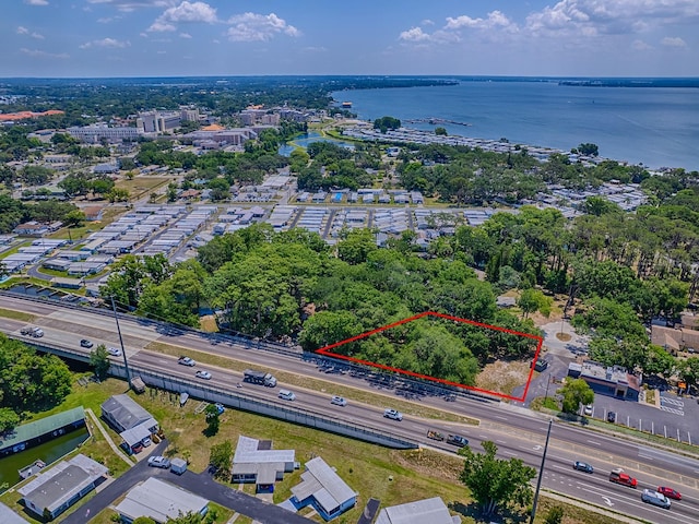 Lion Ln, Tavares, FL 32778