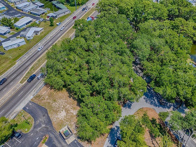Lion Ln, Tavares, FL 32778