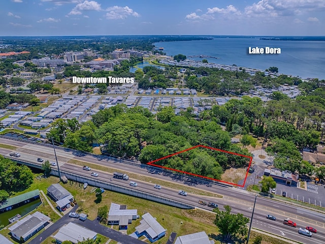 Lion Ln, Tavares, FL 32778