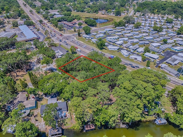 Lion Ln, Tavares, FL 32778