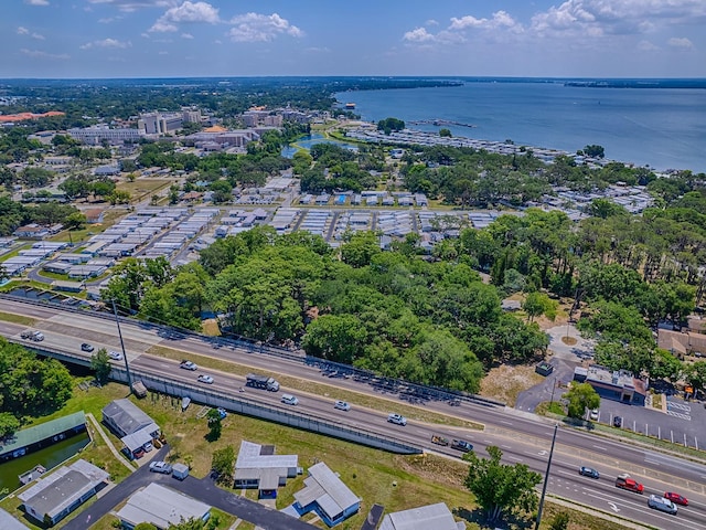 Lion Ln, Tavares, FL 32778