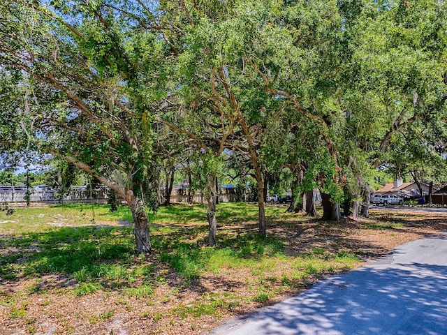 Lion Ln, Tavares, FL 32778