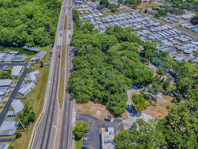 Lion Ln, Tavares, FL 32778
