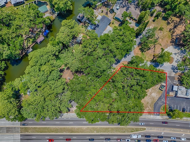 Lion Ln, Tavares, FL 32778