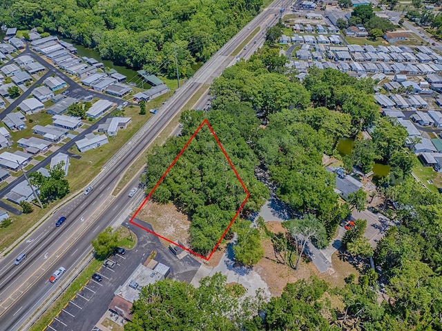 Lion Ln, Tavares, FL 32778