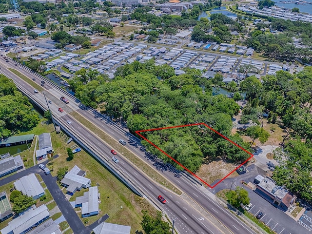 Lion Ln, Tavares, FL 32778