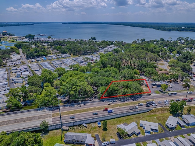 Lion Ln, Tavares, FL 32778