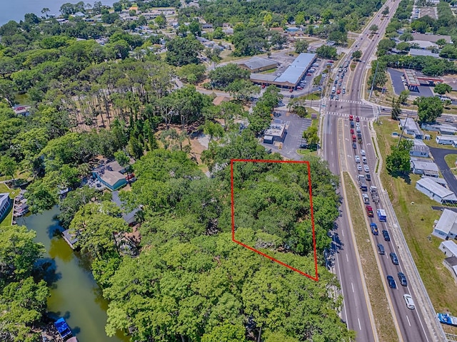 Lion Ln, Tavares, FL 32778