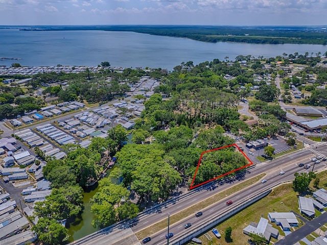 Lion Ln, Tavares, FL 32778