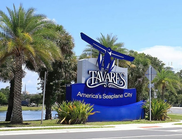 Lion Ln, Tavares, FL 32778