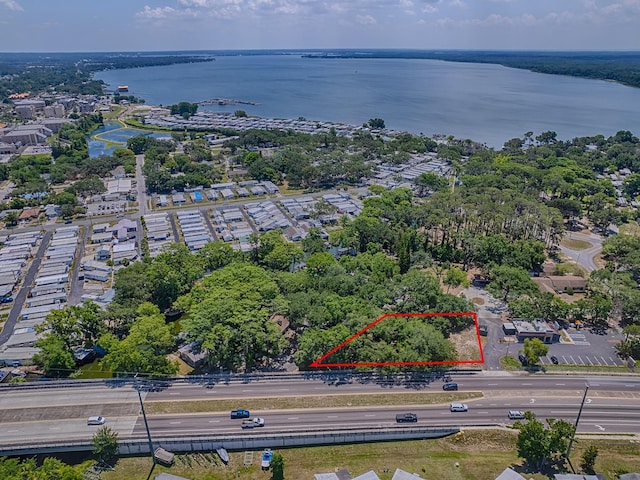 Lion Ln, Tavares, FL 32778