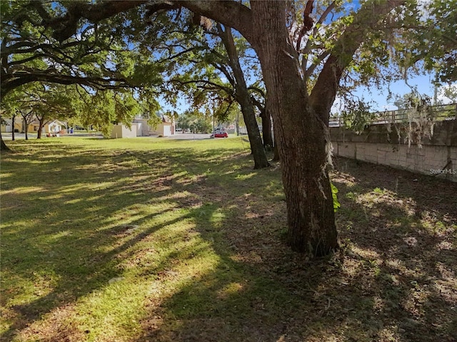 Lion Ln, Tavares, FL 32778