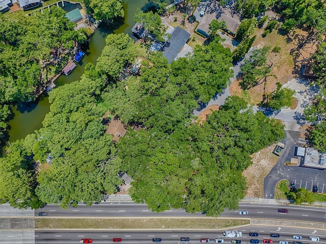 Lion Ln, Tavares, FL 32778