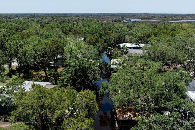 aerial view of property's location featuring a forest and a large body of water