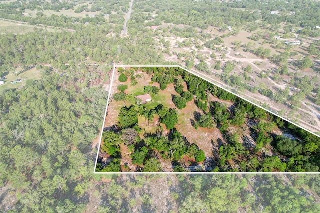 10655 N Party Ave, Dunnellon, FL 34433 - view of property location with property parcel outlined