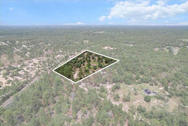 10655 N Party Ave, Dunnellon, FL 34433 - view of property location with a forest and property parcel outlined