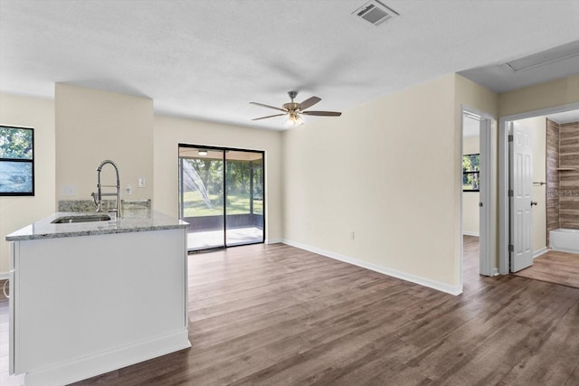 10655 N Party Ave, Dunnellon, FL 34433 - kitchen featuring a sink, light stone counters, wood finished floors, and a ceiling fan