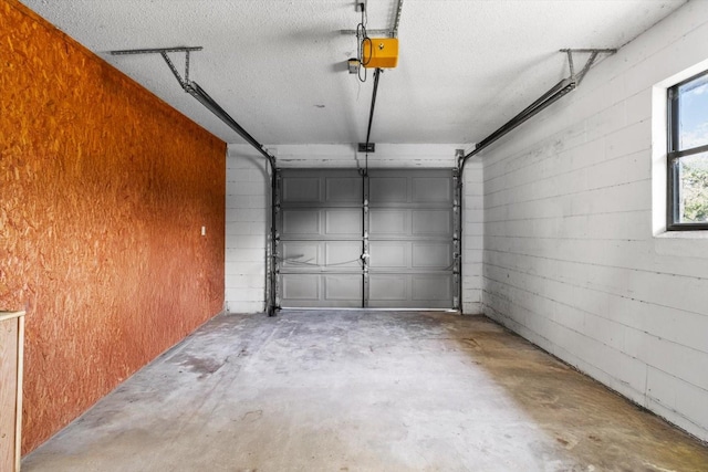 10655 N Party Ave, Dunnellon, FL 34433 - garage with a garage door opener