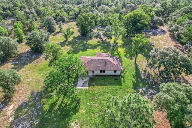 10655 N Party Ave, Dunnellon, FL 34433 - aerial overview of property's location